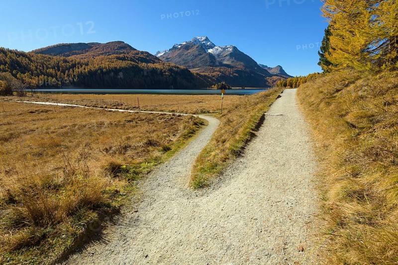 Forked hiking trail on Lake Silsersee in autumn