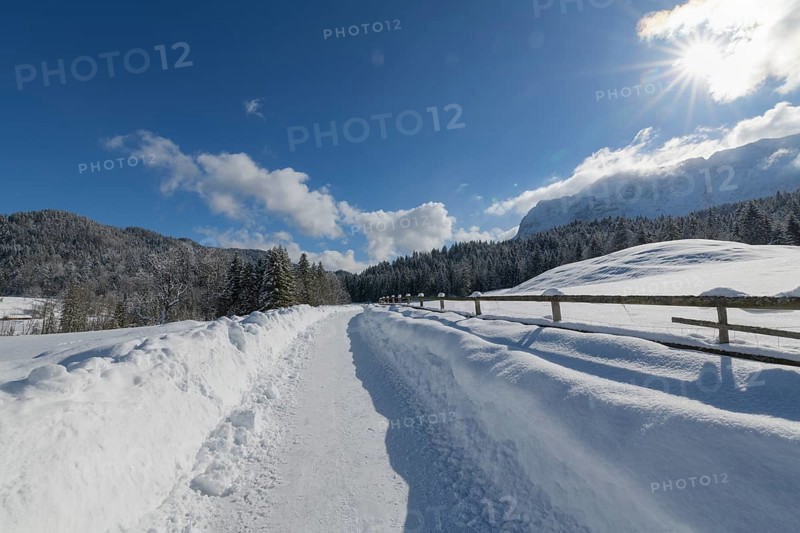 Path with sun in winter