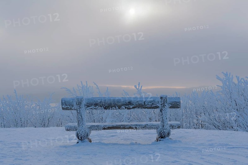 Bench in the morning in winter