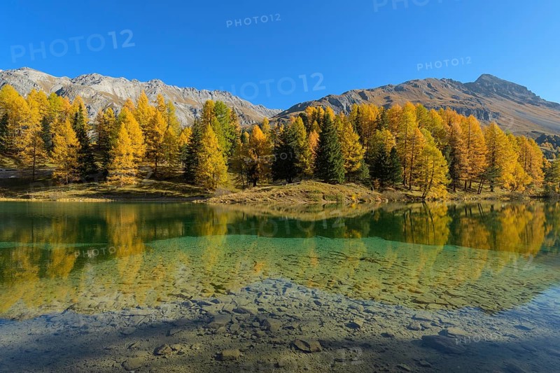 Mountain lake with larch trees in autumn