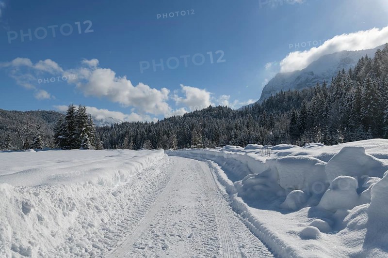 Path in winter