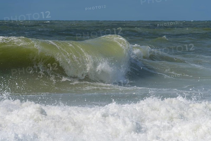 Breaking Wave