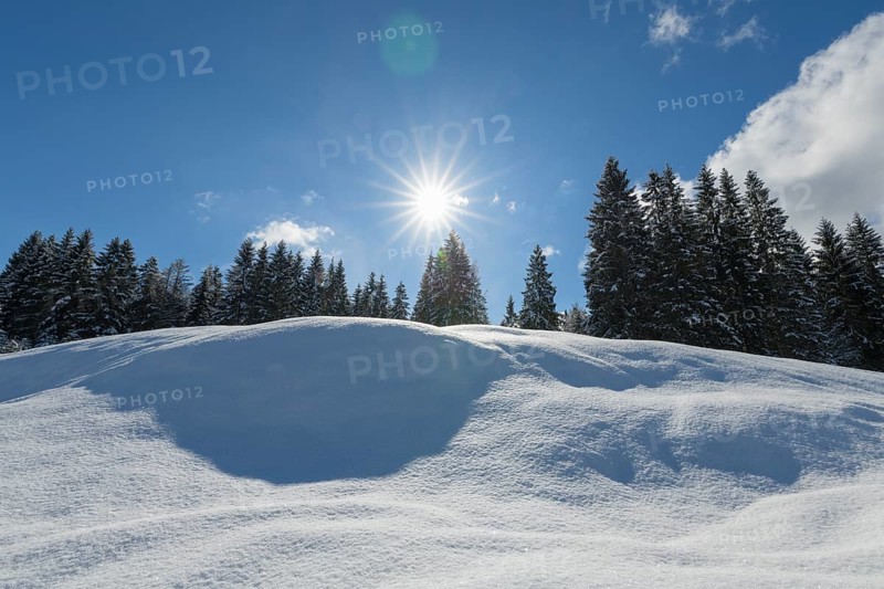 Winter landscape with sun
