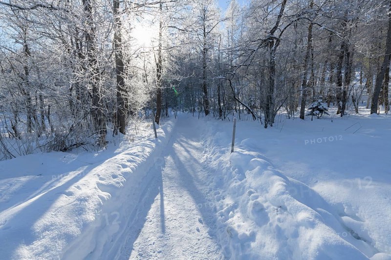 Path in winter landscape near lake Barmsee with sun