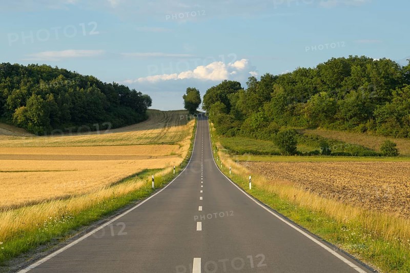 Country road with grain fields in summer