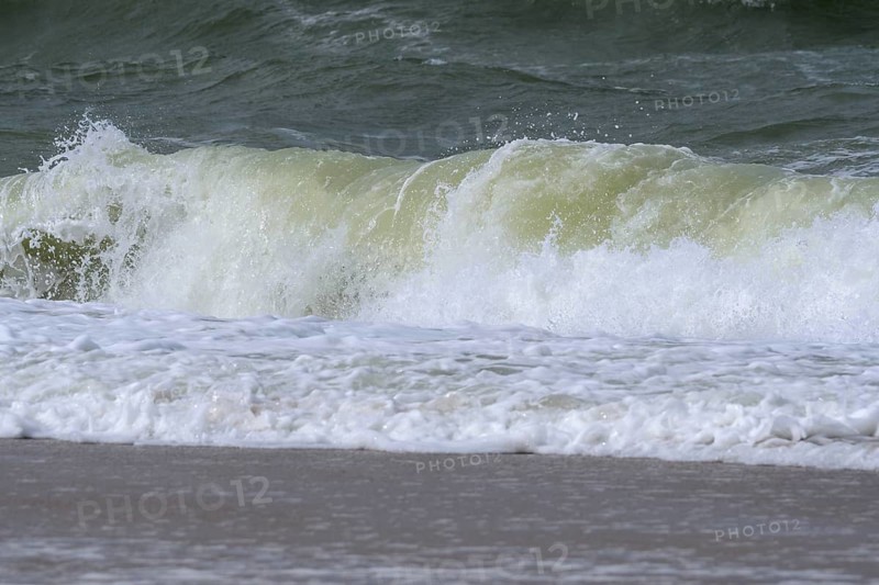 Breaking Wave