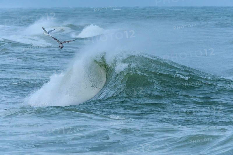 Breaking Wave