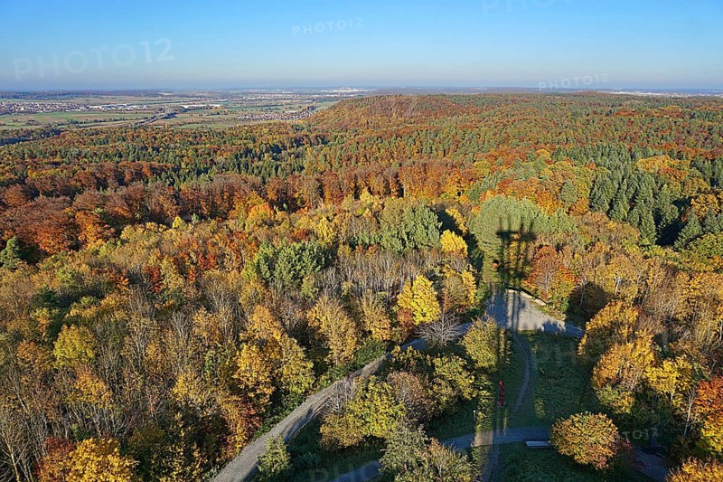 View of autumn forest from the Schoenbuch Tower