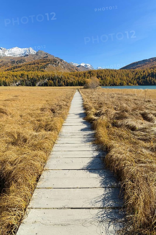 Boardwalk on Lake Silsersee in autumn
