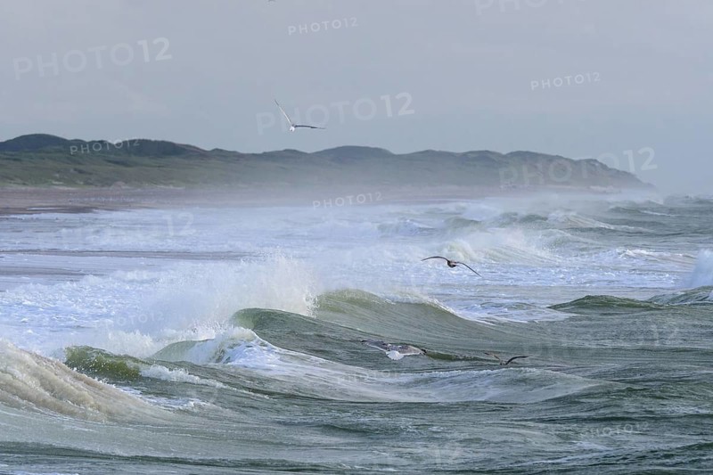 Breaking Wave