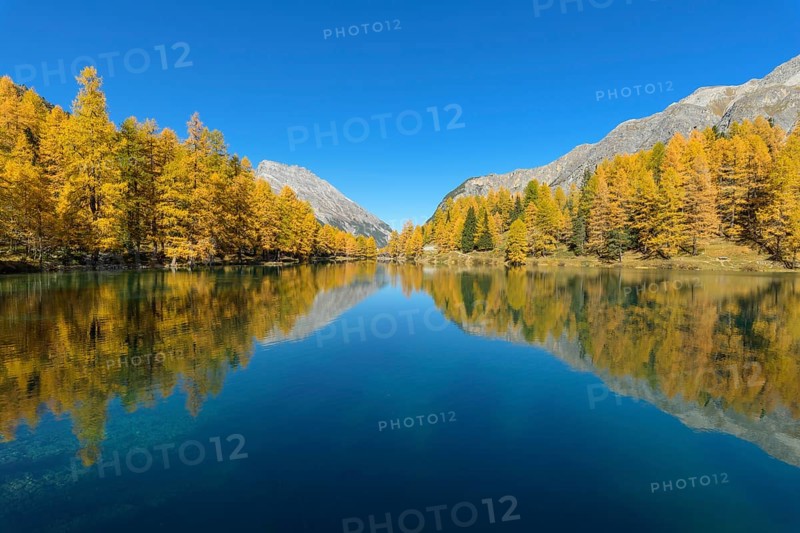 Mountain lake with larch trees in autumn