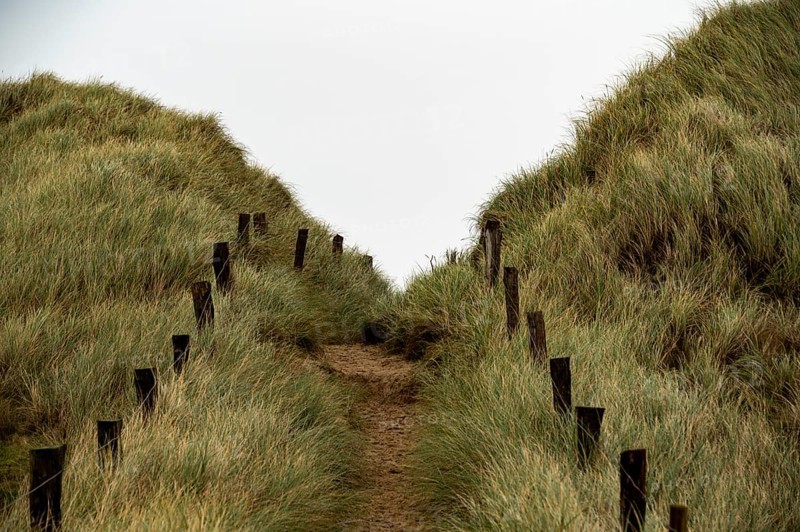 Sand path with dune grass and fence