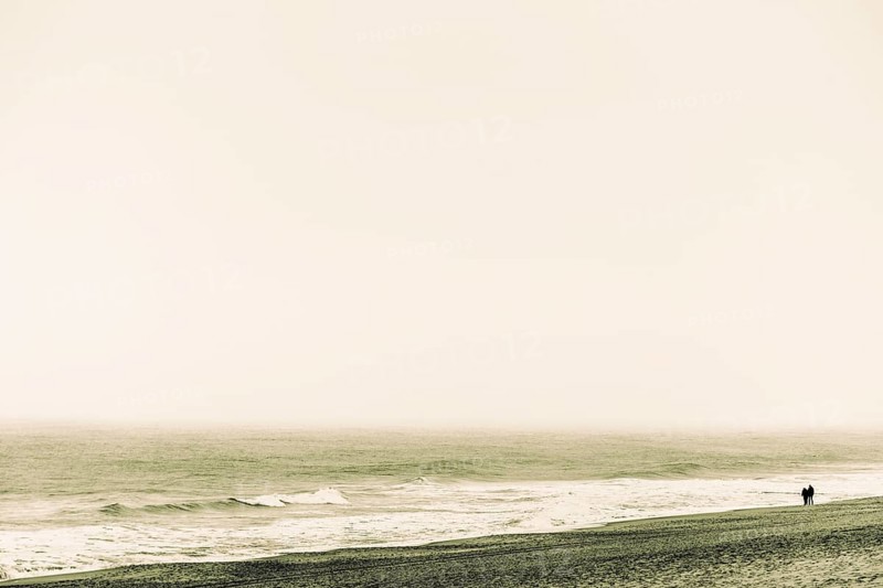 Walkers on the North Sea coast