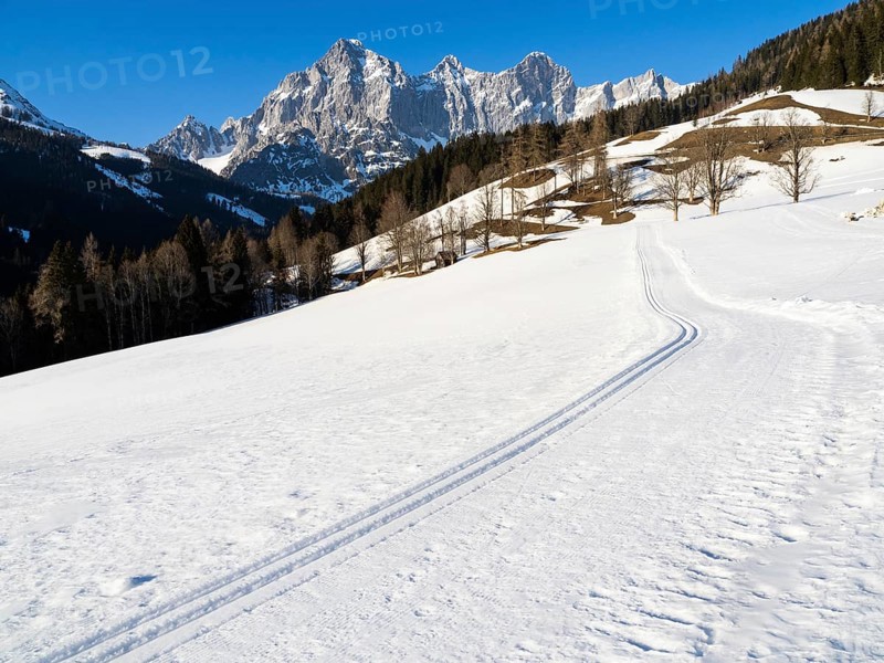 Blue sky over winter landscape