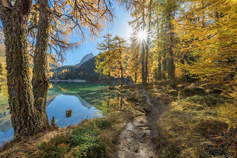 Mountain lake with larch trees in autumn