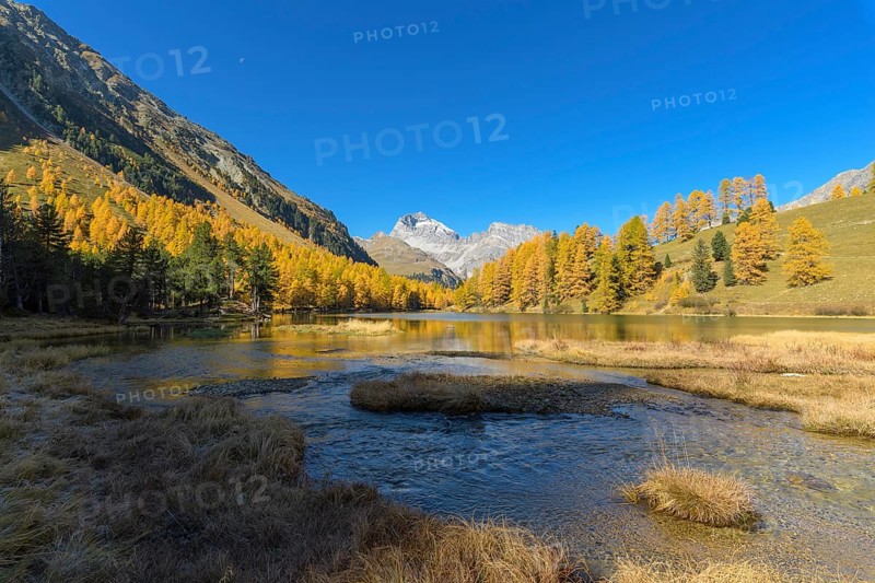 Mountain lake with larch trees in autumn