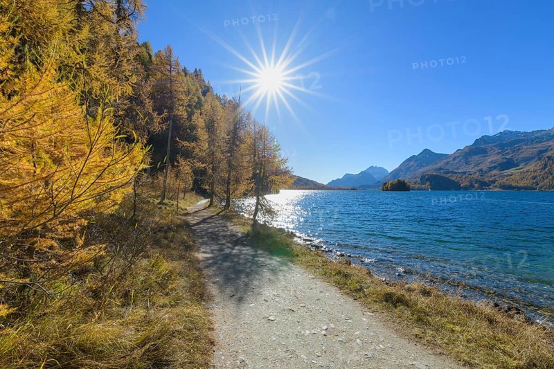 Path with colorful larch trees and sun in autumn