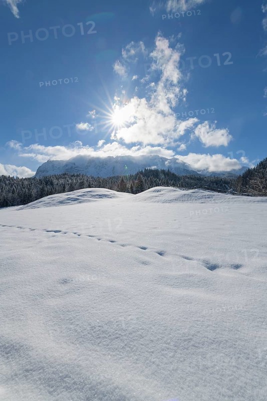 Winter landscape with sun