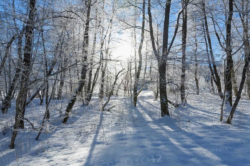 Winter landscape with sun near lake Barmsee