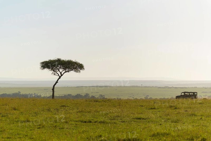 Savannah landscape with safari vehicle