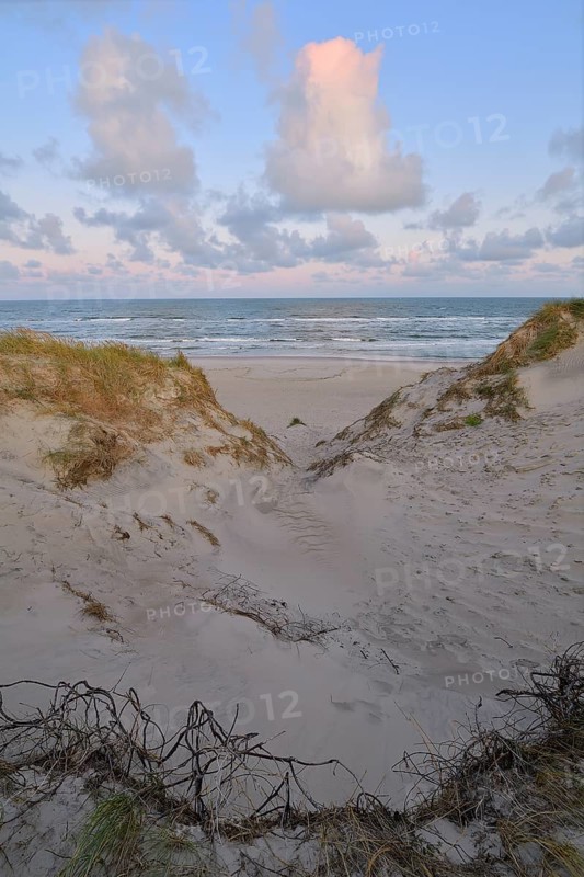 Dune landscape with the north sea in the morning