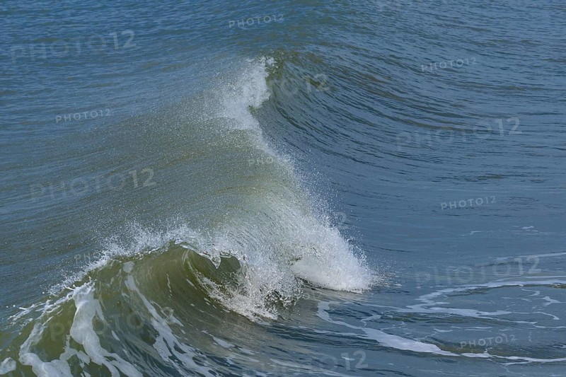 Breaking Wave