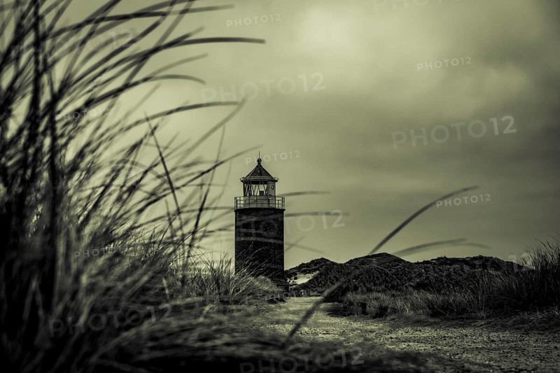 Cross light red cliff with dune grass