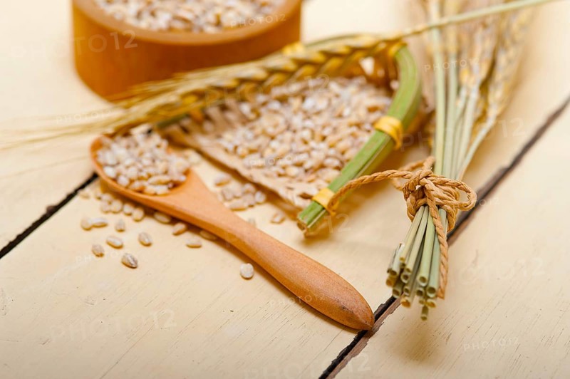 Organic barley grains over rustic wood table macro closeup