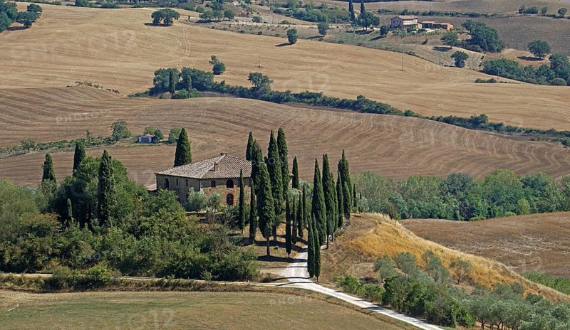 Podere Belvedere estate
