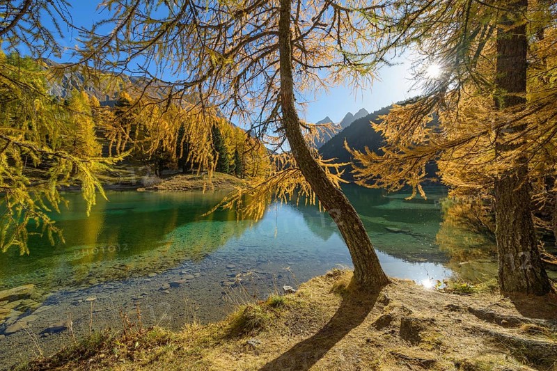 Mountain lake with larch trees in autumn