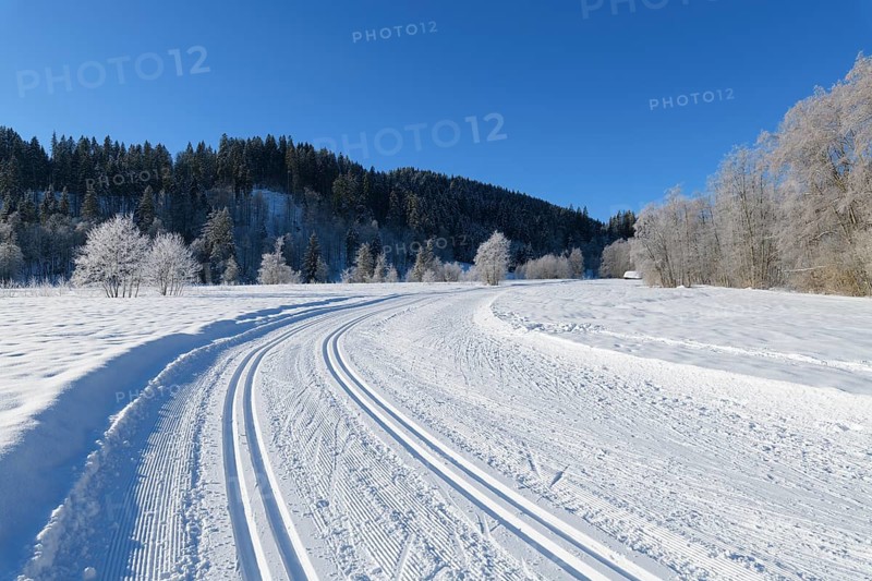 Cross country skiing track in winter landscape near lake Barmsee