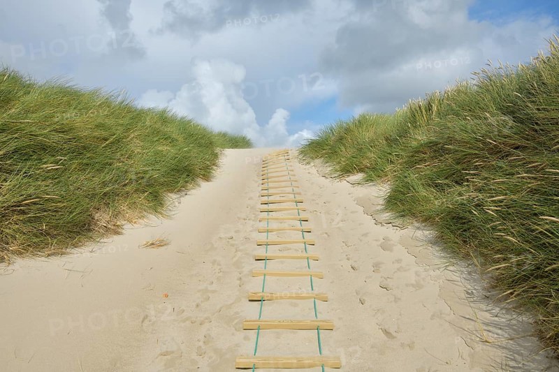 Dune landscape with sandy footpath to the sea in summer