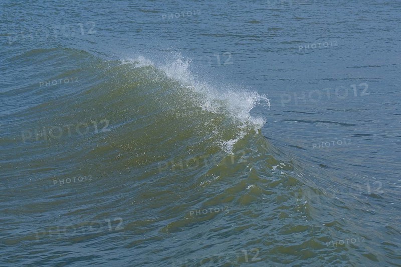 Breaking Wave