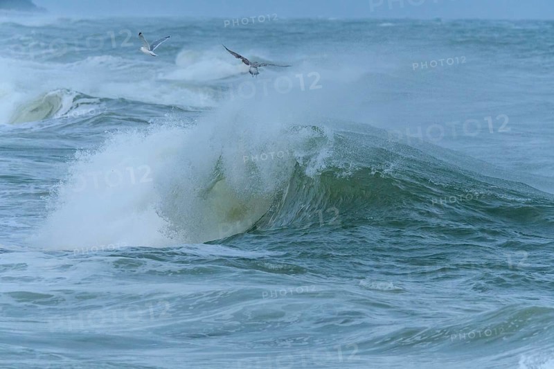 Breaking Wave