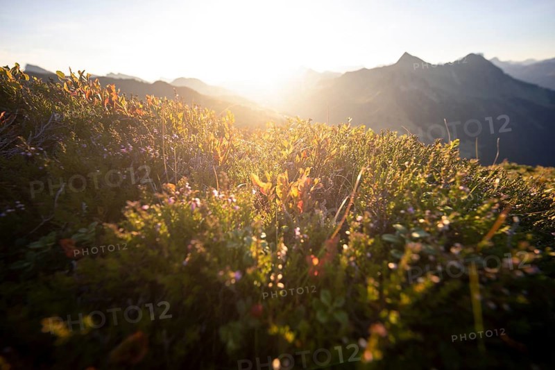Sunrise on Portlakopf in autumn