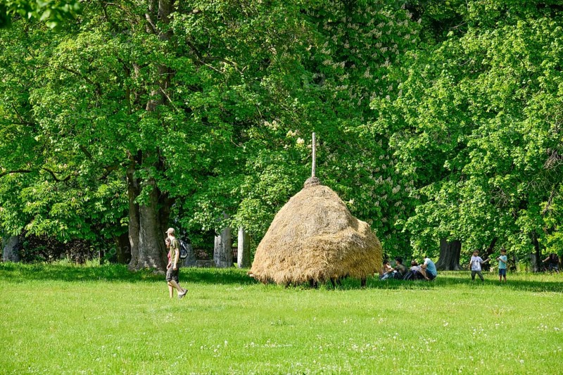 Hayloft