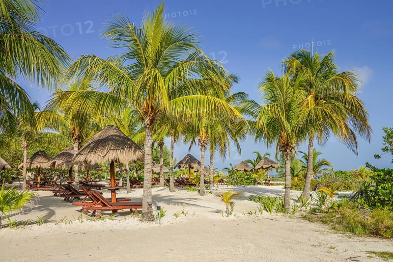 Palm Beach