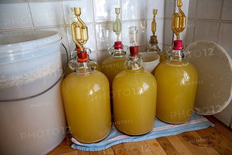 Fermenting bin and demijohns making homemade elderflower wine in kitchen of home