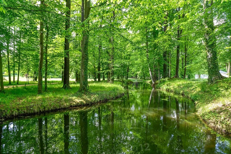 Canal