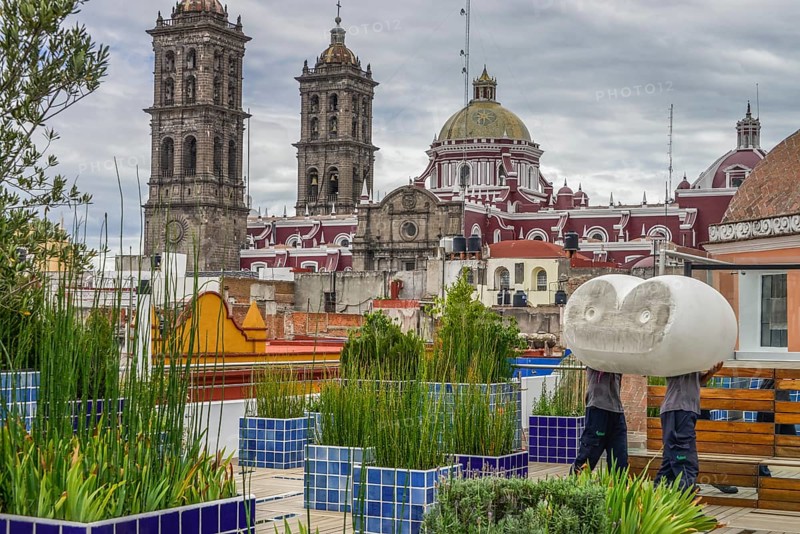 Roof terrace
