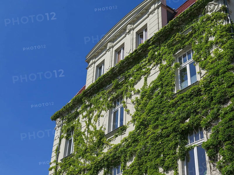 Old building