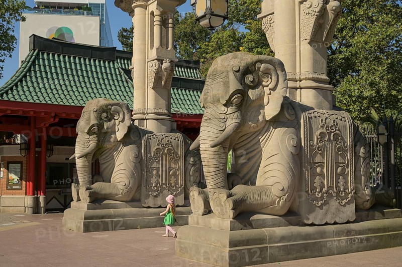 Elephant Gate