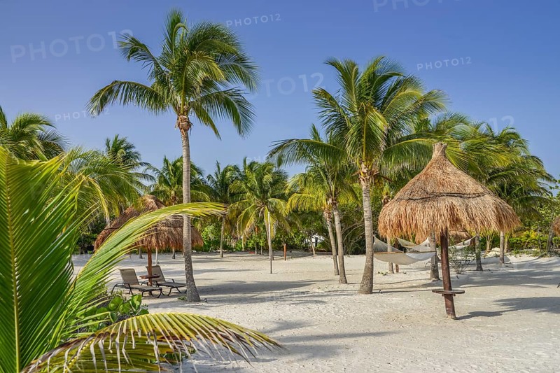 Palm Beach