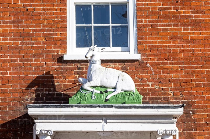 Historic sculpture of white hart deer above former entrance door to hotel