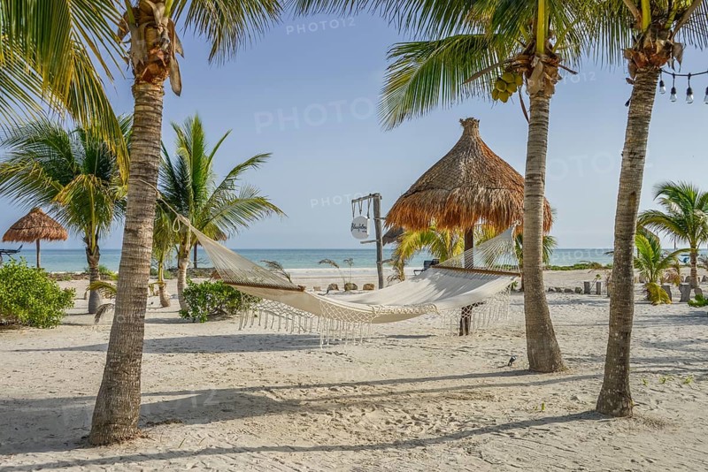 Palm Beach