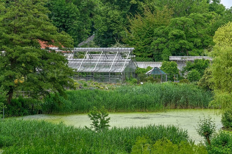Glass house
