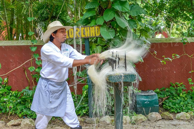 Production of sisal ropes