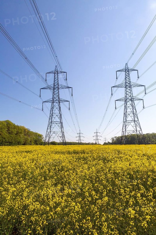 Pylons carrying high voltage electricity cables over countryside crop of yellow old seed rape