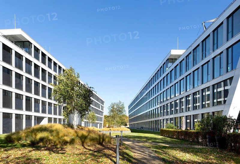 Rheinwerk III