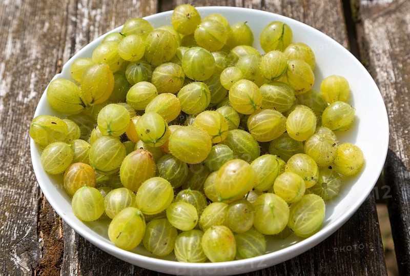 White ceramic bowl with fresh gooseberries fruit